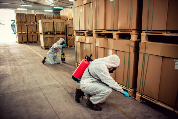 Best Best Pest Control Companies  in Fullerton, CA