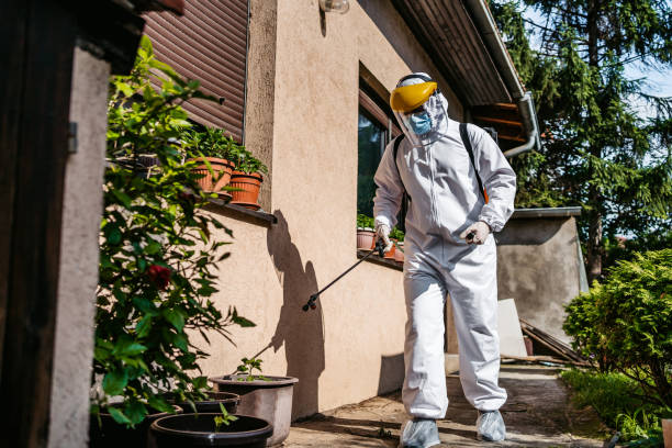Best Local Pest Control Services  in Fullerton, CA