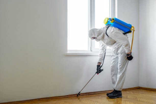 Best Cockroach Control Services  in Fullerton, CA