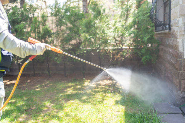 Reliable Fullerton, CA Pest Control Solutions