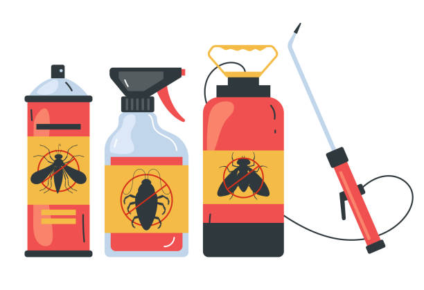 Best Affordable Pest Control Services  in Fullerton, CA