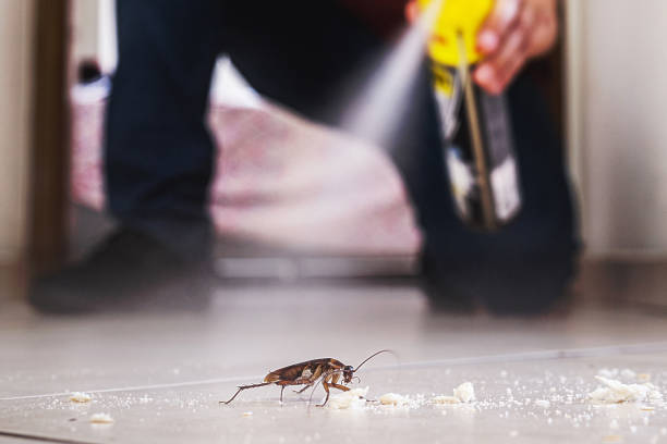 Best Pest Removal Services  in Fullerton, CA