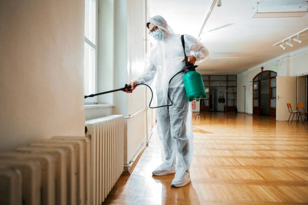 Wildlife Control Services in Fullerton, CA